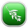 Olive Video Editor Logo